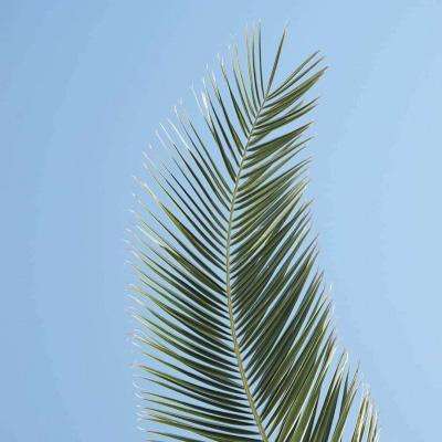 现货黄金重回4600美元，金饰克价一日涨超60元